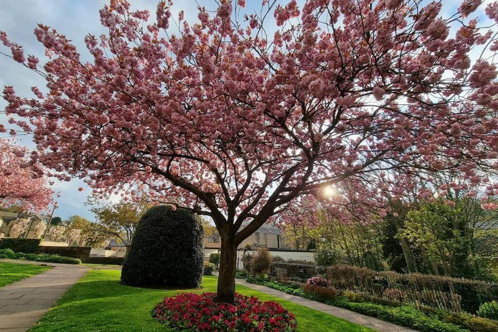 Crystal - 5 Min Walk From Town Centre * Holmfirth